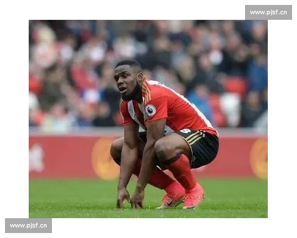 伯恩茅斯铁心保级，转会窗口孤注一掷