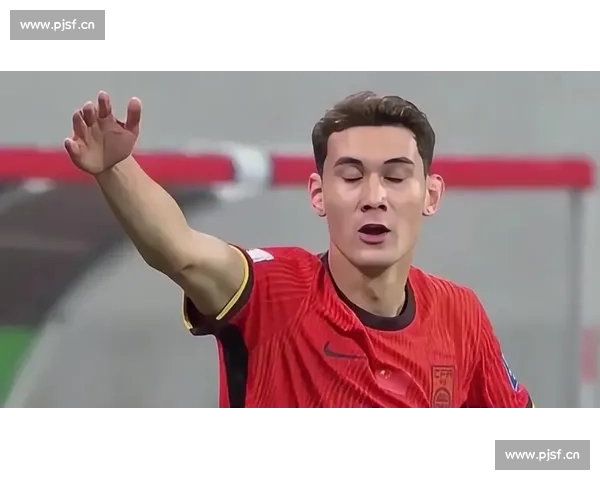 期待的眼神！哈兰德2026世界杯，球迷为他疯狂打call！